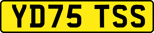 YD75TSS