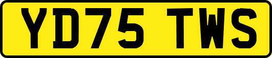 YD75TWS