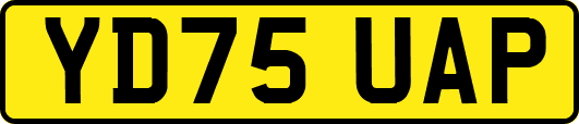 YD75UAP