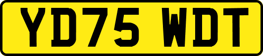 YD75WDT