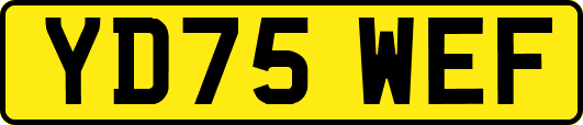 YD75WEF