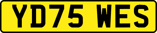 YD75WES
