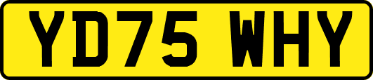 YD75WHY