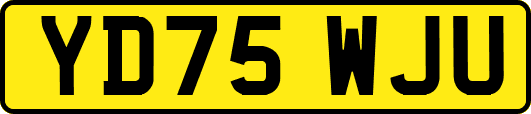 YD75WJU