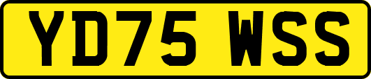 YD75WSS
