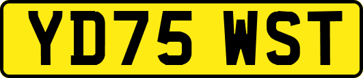 YD75WST