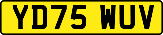YD75WUV