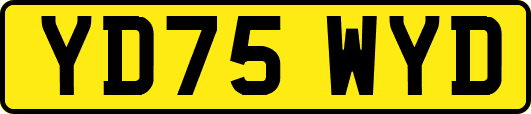 YD75WYD