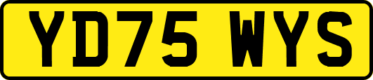 YD75WYS