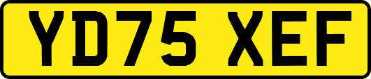 YD75XEF