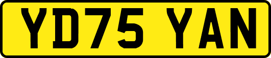 YD75YAN