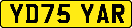 YD75YAR