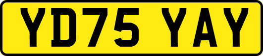 YD75YAY