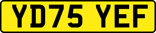 YD75YEF