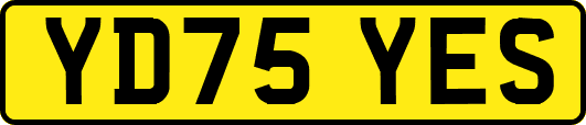 YD75YES