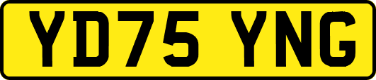 YD75YNG