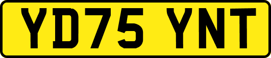 YD75YNT