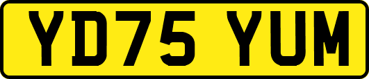 YD75YUM