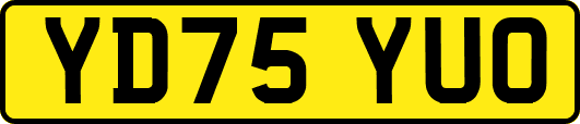 YD75YUO