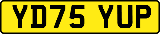 YD75YUP