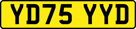YD75YYD