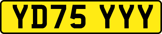 YD75YYY