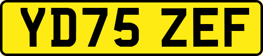 YD75ZEF