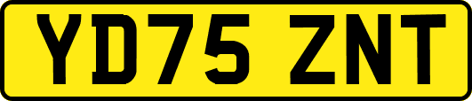 YD75ZNT