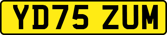YD75ZUM