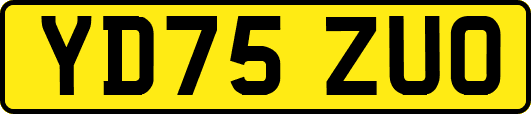 YD75ZUO