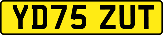 YD75ZUT