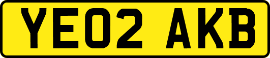 YE02AKB
