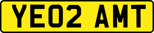 YE02AMT