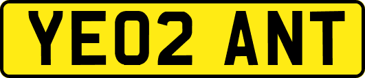 YE02ANT