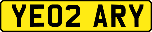 YE02ARY