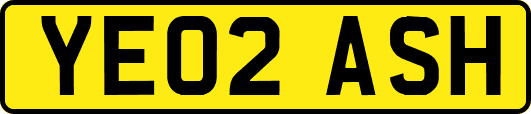 YE02ASH