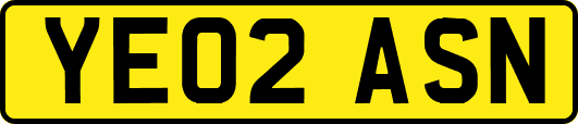 YE02ASN