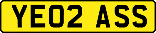 YE02ASS