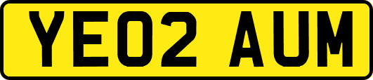 YE02AUM