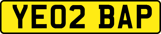YE02BAP