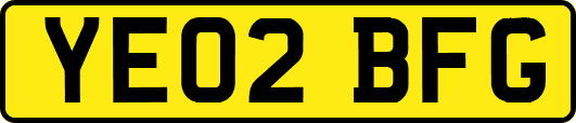 YE02BFG