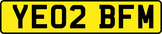 YE02BFM