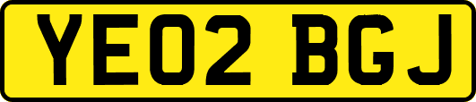 YE02BGJ