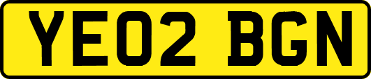 YE02BGN