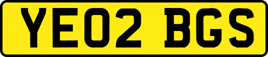 YE02BGS
