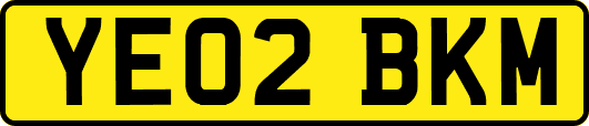 YE02BKM