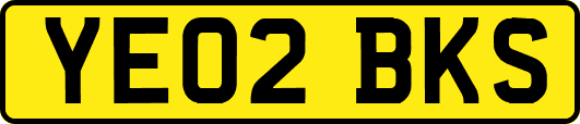 YE02BKS