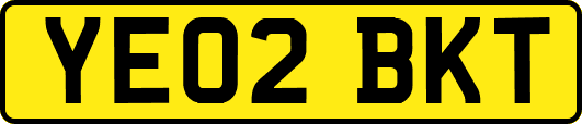 YE02BKT