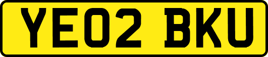 YE02BKU