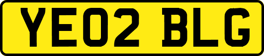 YE02BLG